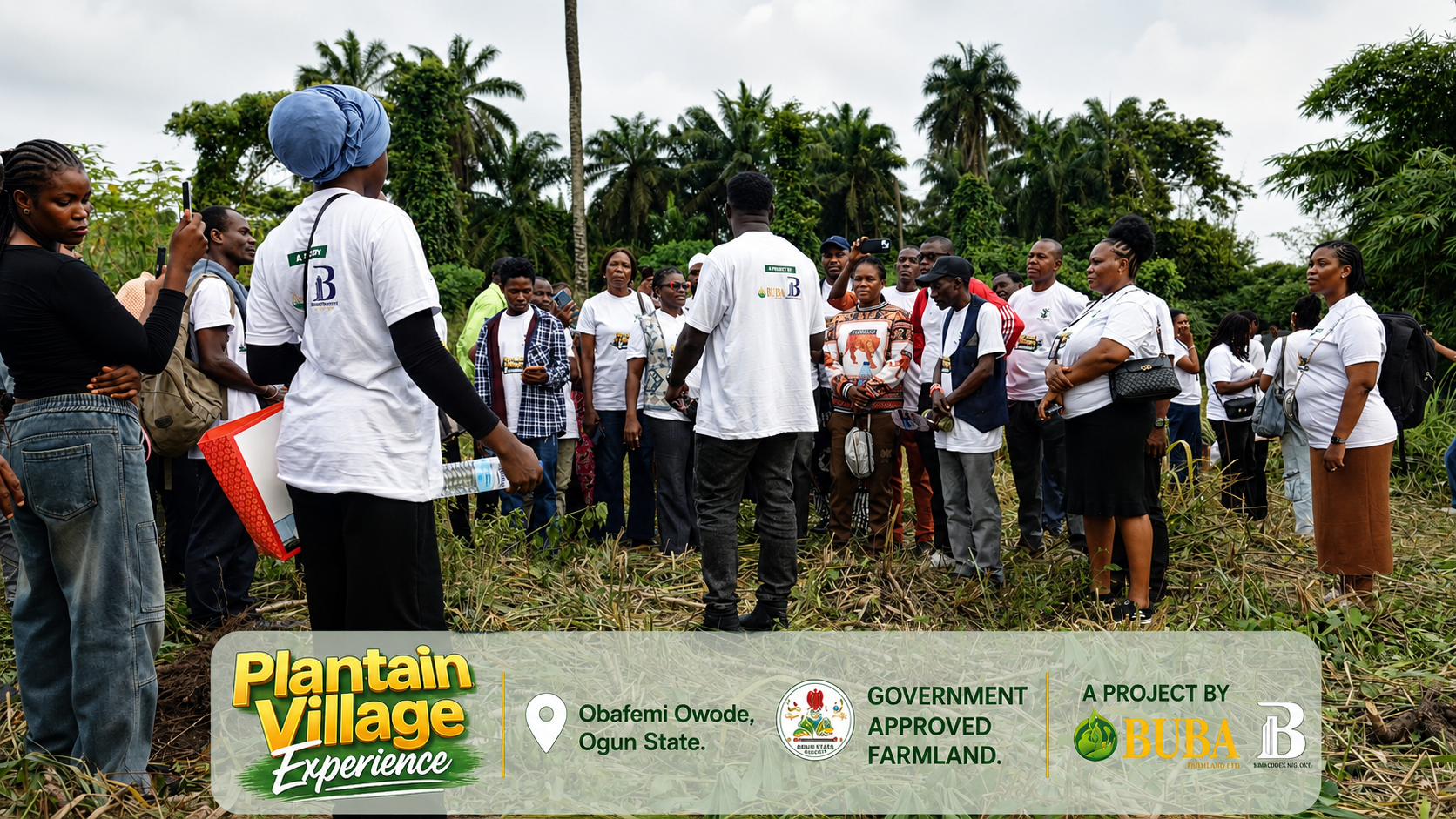 Plantain Tour Image